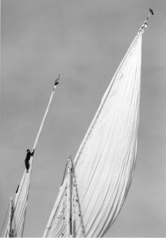 luxor, egypt (sails)