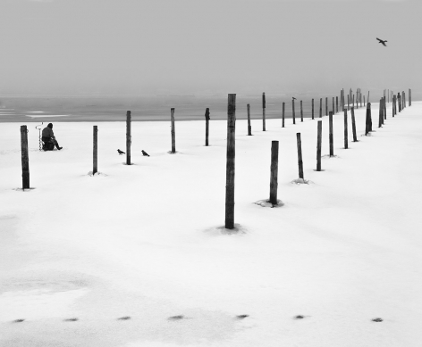 Helsinki, Finland (posts in snow), 2011, Gelatin silver print