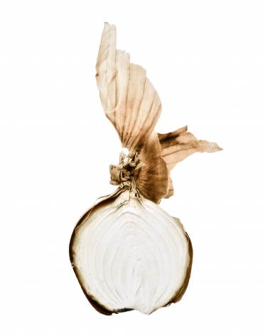 Oignon (Onion), 2002&nbsp;, Edition 3/6, printed 2003
