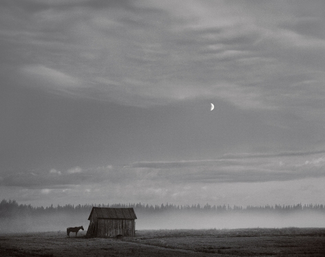 Pyhajarvi, Finland (horse and barn), 1982