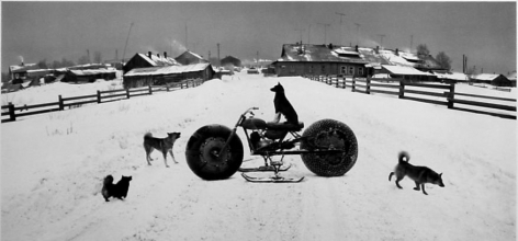 Pentti Sammallahti Solovki, White Sea, Russia (dog on vehicle), 1992
